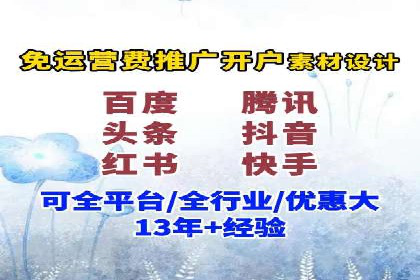 大型SEM服务公司案例分析